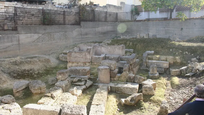 Area archeologica della "Fullonica"