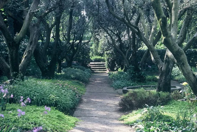 I giardini della landriana
