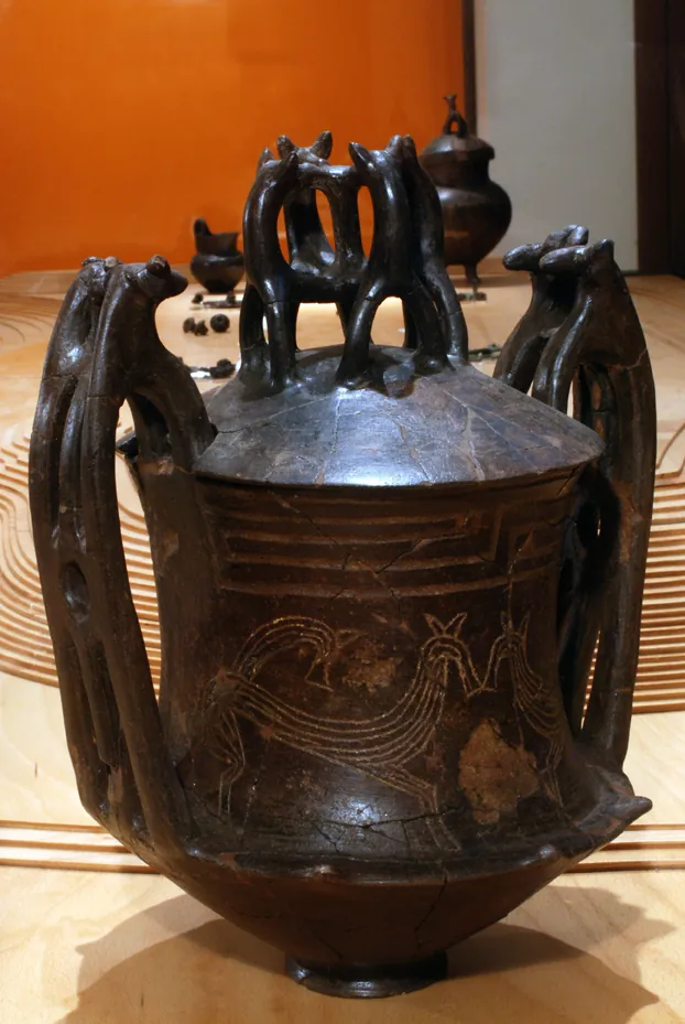 Museo archeologico - CAOS (Centro Arti Opificio Siri)