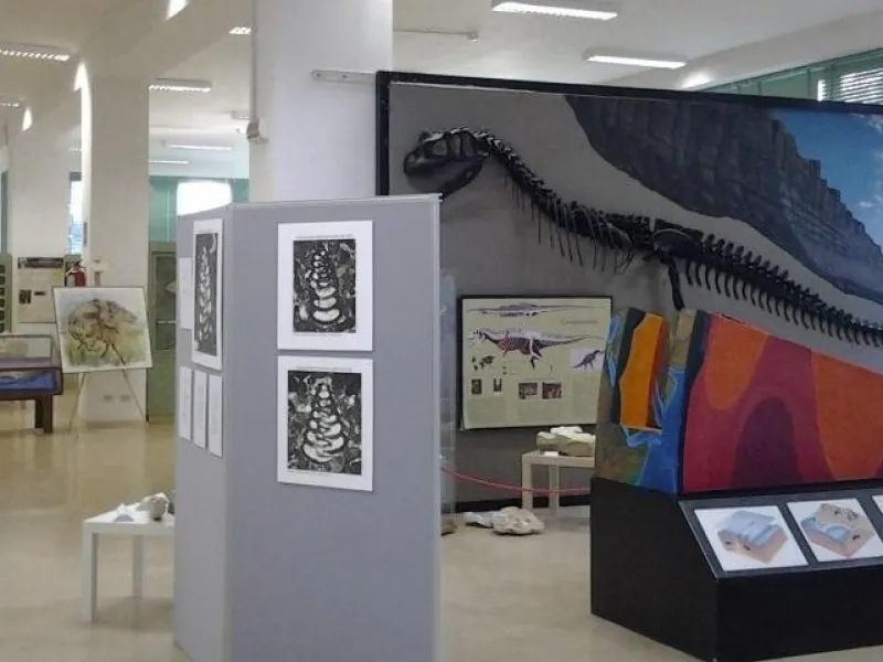 Museo di scienze della Terra