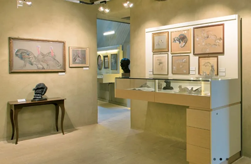 Museo Renato Brozzi