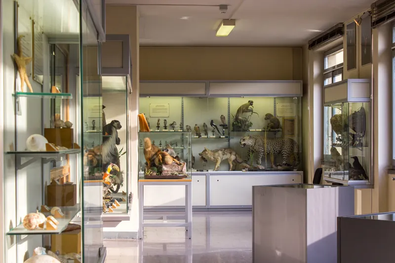 Biblioteca civica e museo di storia naturale Don Michelangelo Ambrosioni