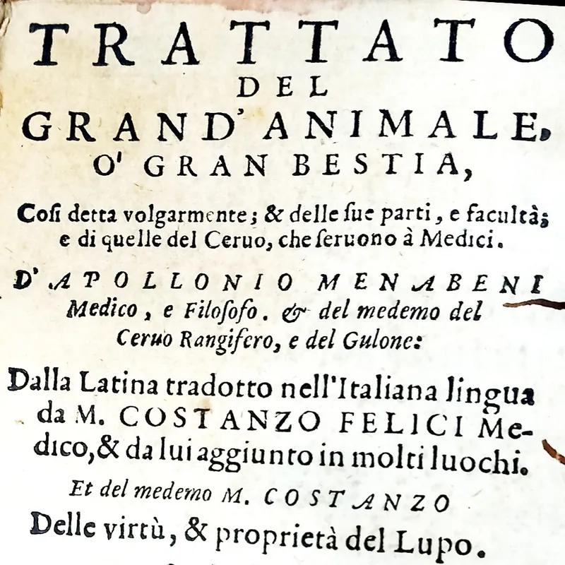 Biblioteca Universitaria Alessandrina di Roma - La gran bestia nella Libraria di Francesco Maria II della Rovere