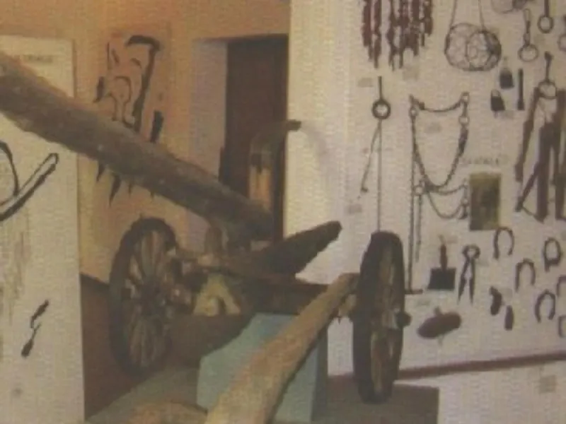 Collezione etnografica Bruno Carmagnini