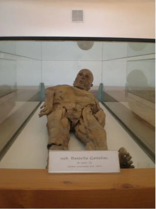 Cripta cimiteriale di San Michele - esposizione mummie