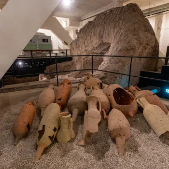 Drugstore Museum e Circuito Necropoli Portuense
