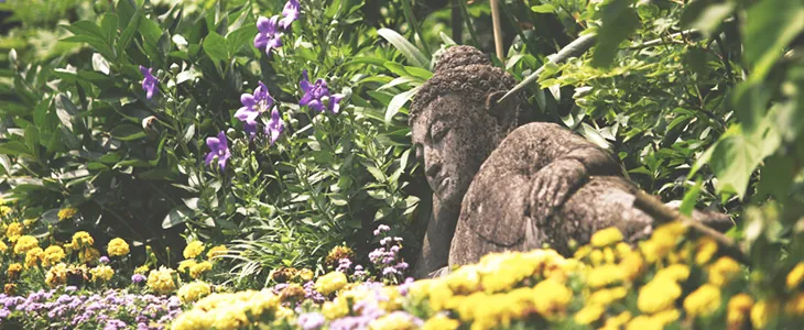 Fondazione Andre' Heller - Giardino botanico "A. Hruska"
