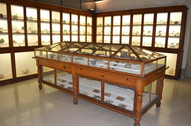Gabinetto di storia naturale del Liceo Machiavelli