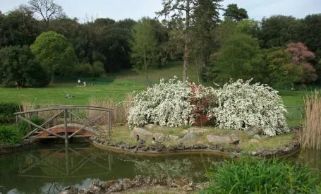 Giardino di Villa Il Ventaglio