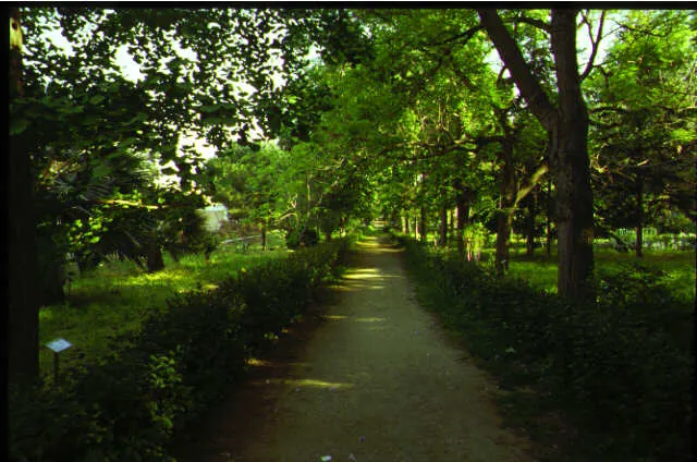 Istituto orto botanico