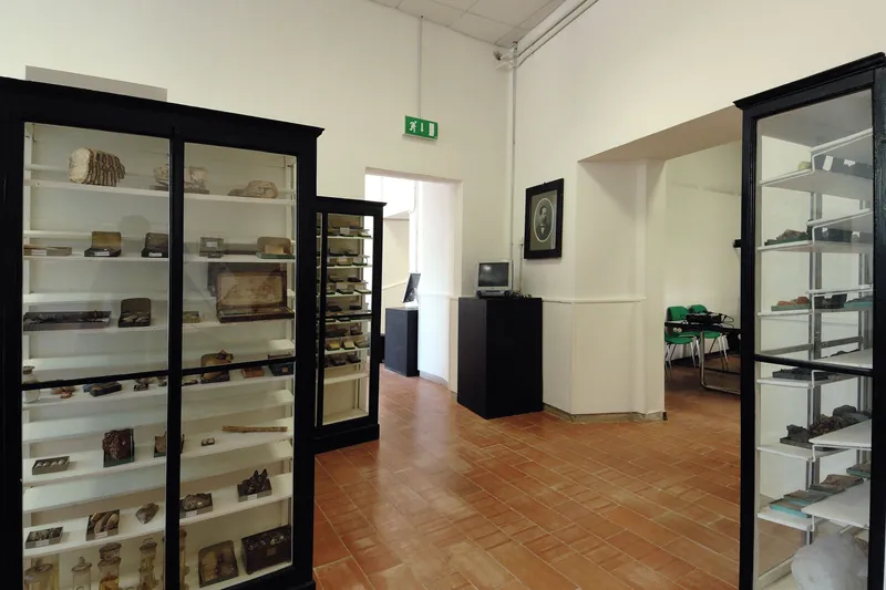 Laboratorio di scienze della terra - Collezione Toni