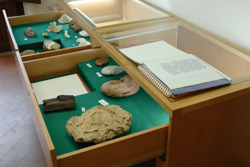 Laboratorio ecologico di Geo-Paleontologia