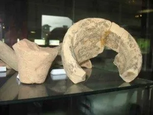 Mostra permanente Zuc Scjaramont - I segreti del colle