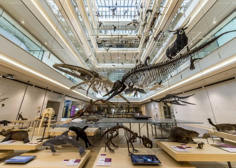 MUSE - Museo delle Scienze di Trento