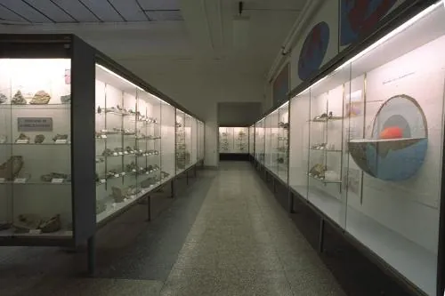 Musei civici. Sezione di archeologia e storia naturale