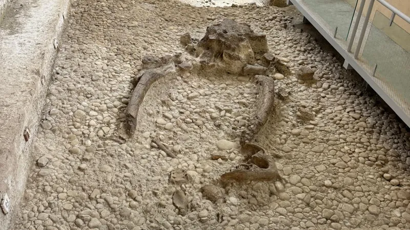 Musei e parchi archeologici di Melfi e Venosa - Parco paleolitico di Notarchirico