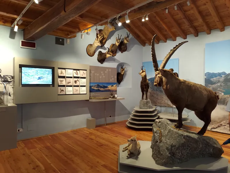 Museo civico alpino "Arnaldo Tazzetti"