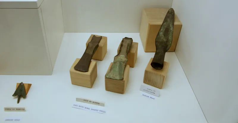 Museo civico archeologico "C. Cellini"