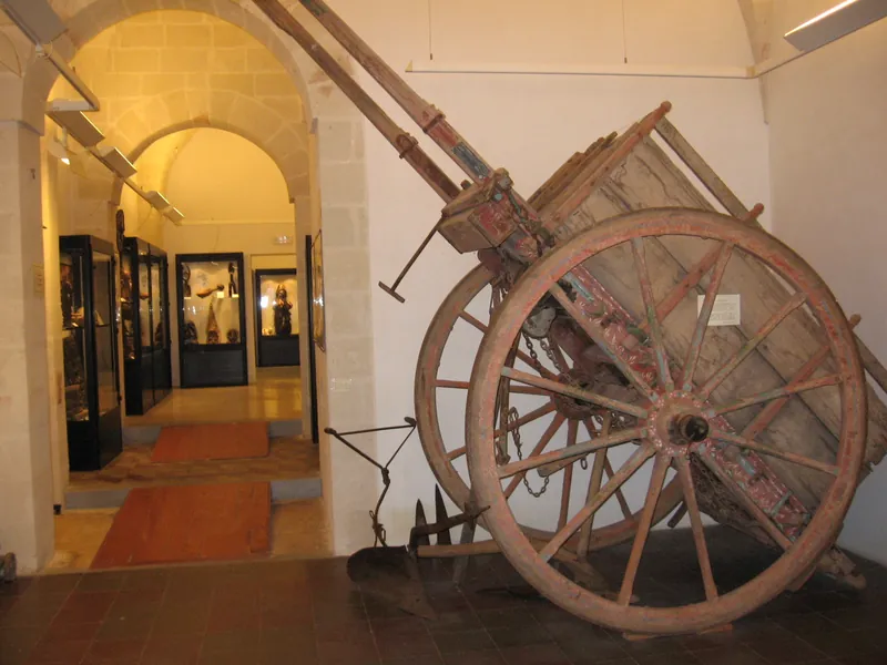 Museo civico della paleontologia e dell'uomo