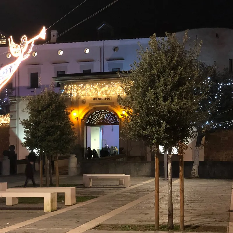 Museo civico di Acerra