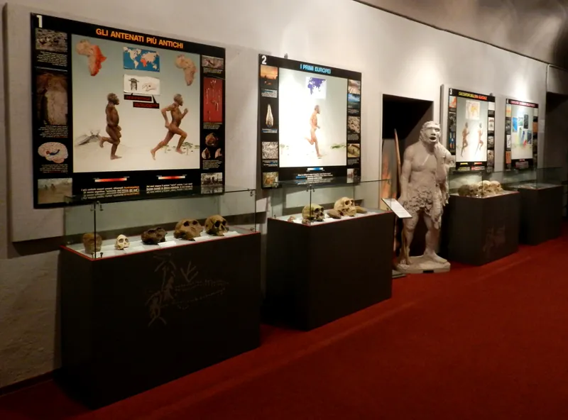 Museo Civico di Arte preistorica