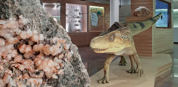 Museo civico di geologia