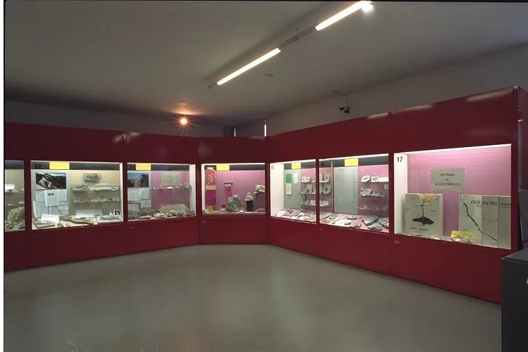 Museo civico di scienze naturali di Faenza