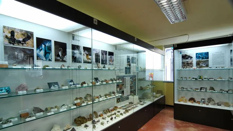 Museo civico di scienze naturali di Lovere