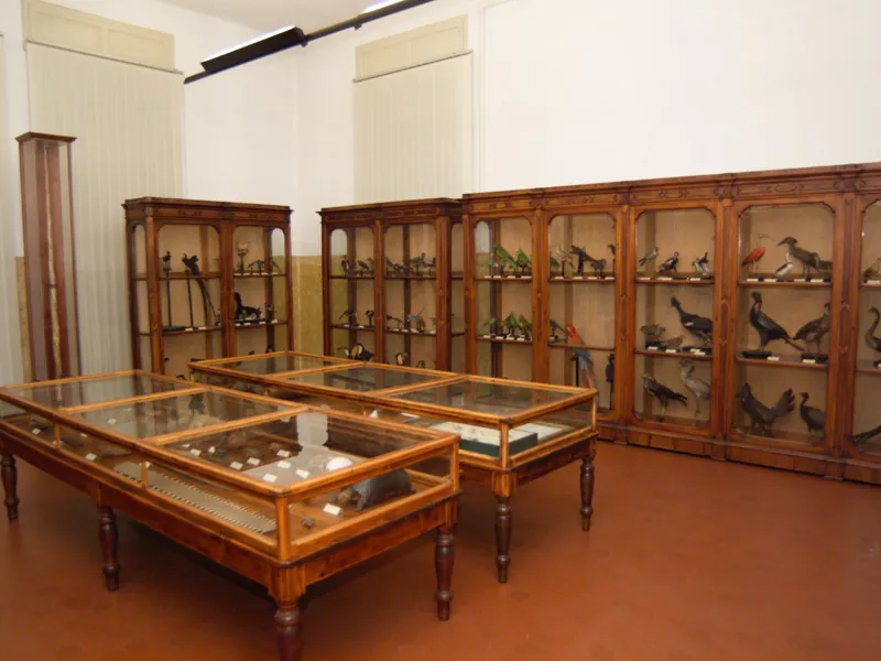 Museo civico di storia naturale di Cremona