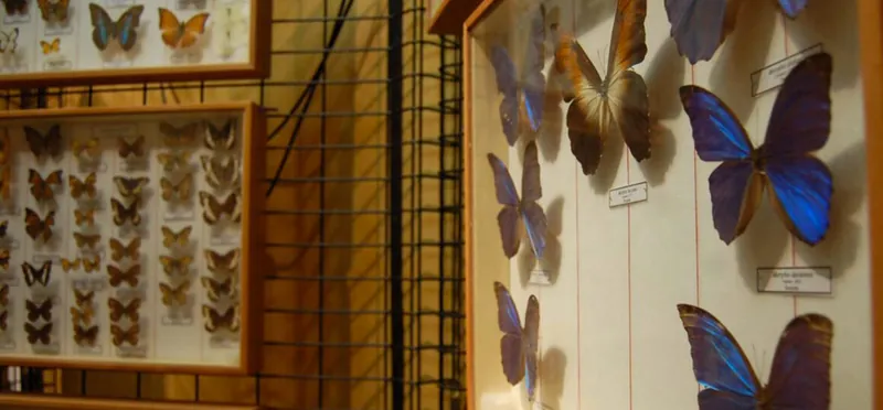 Museo civico di storia naturale di Macerata