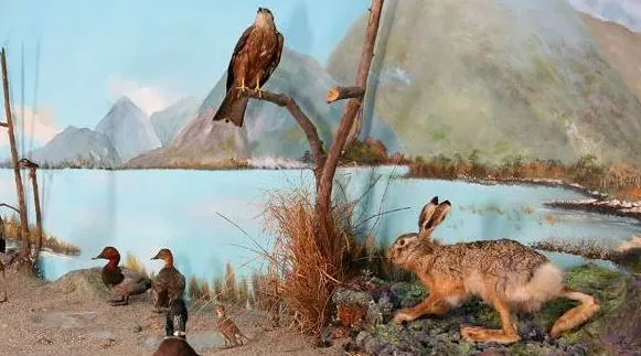 Museo civico di storia naturale di Morbegno