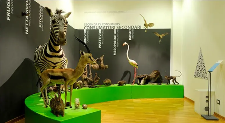 Museo civico di storia naturale di Trieste