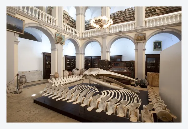 Museo civico "Emanuele Barba"