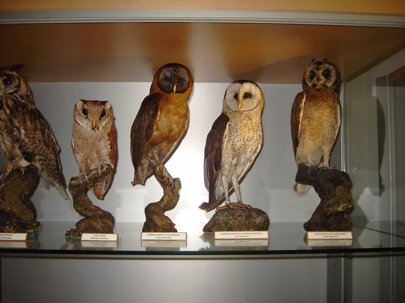 Museo civico Lentate Sul Seveso