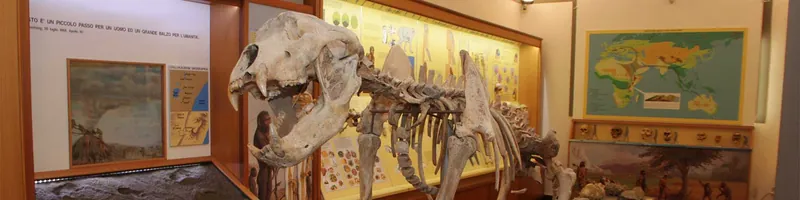 Museo civico paleontologico di Empoli