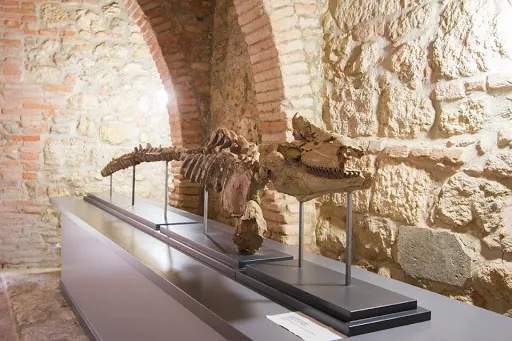 Museo civico per la preistoria del Monte Cetona