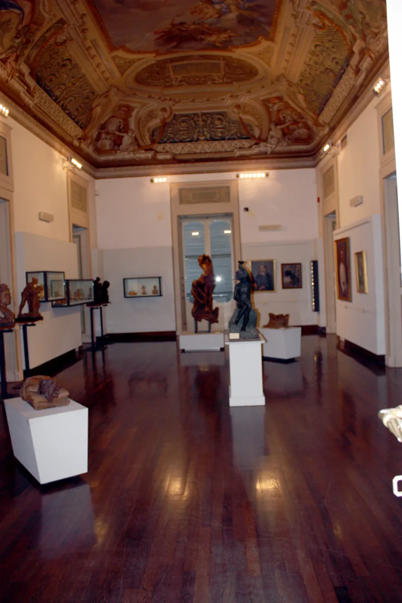 Museo d'arte Costantino Barbella