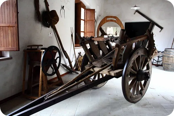 Museo del cavallino della giara