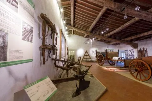 Museo del lavoro e delle tradizioni popolari della Versilia storica