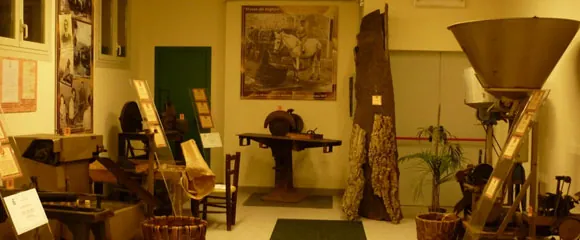 Museo del sughero