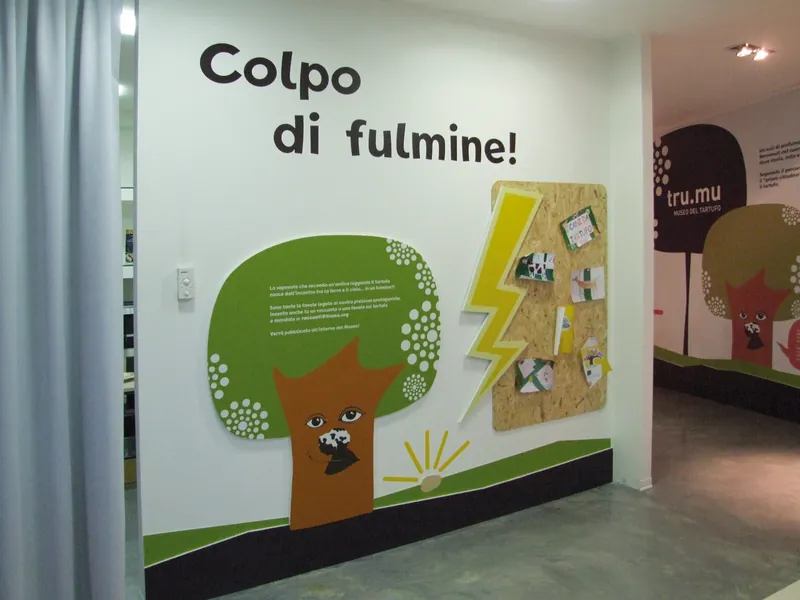 Museo del tartufo