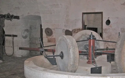 Museo dell'olio d'oliva di Fasano