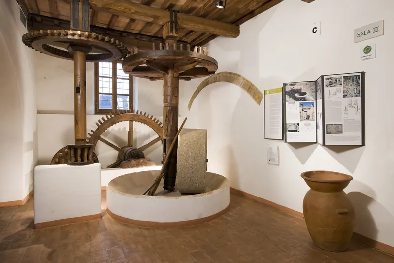 Museo dell'olivo e dell'olio