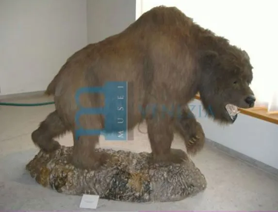 Museo della grotta