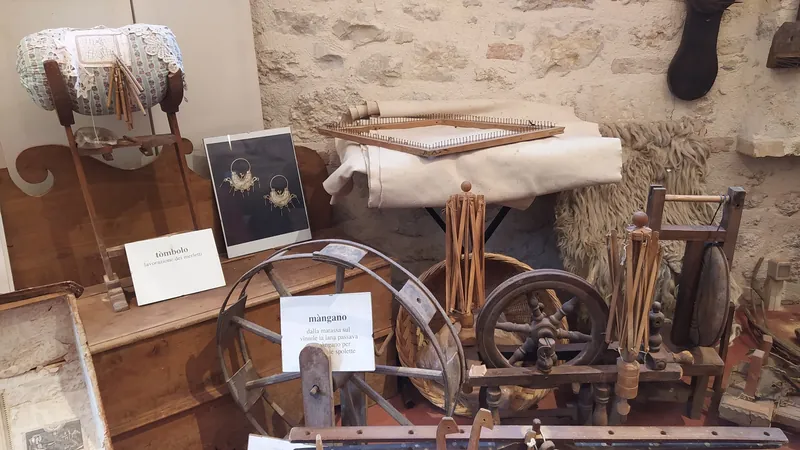 Museo della lana