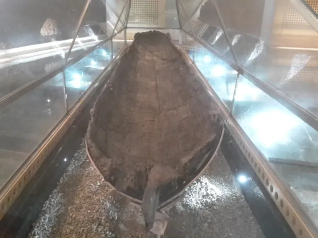 Museo della Navigazione nelle Acque Interne