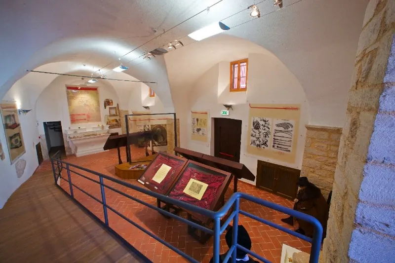 Museo della scuola chirurgica preciana