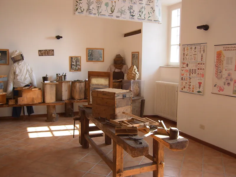 Museo delle api