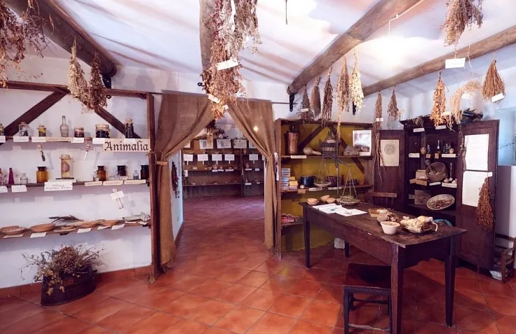 Museo delle erbe