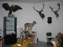 Museo delle tradizioni venatorie